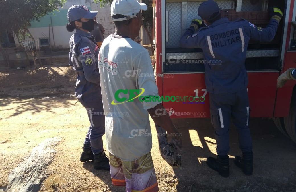 Barreiras: Jibóia aparece em residência e é resgatada por bombeiros do 17º GBM