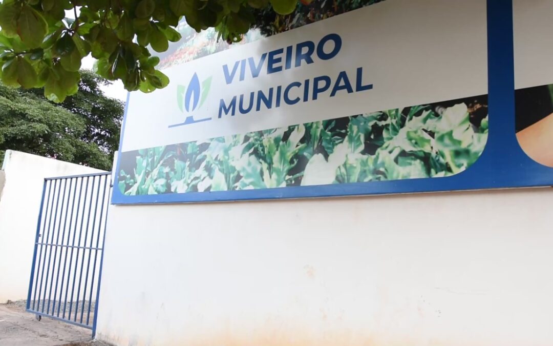 LEM: Viveiro Municipal abriga 4 mil mudas de espécies do Cerrado